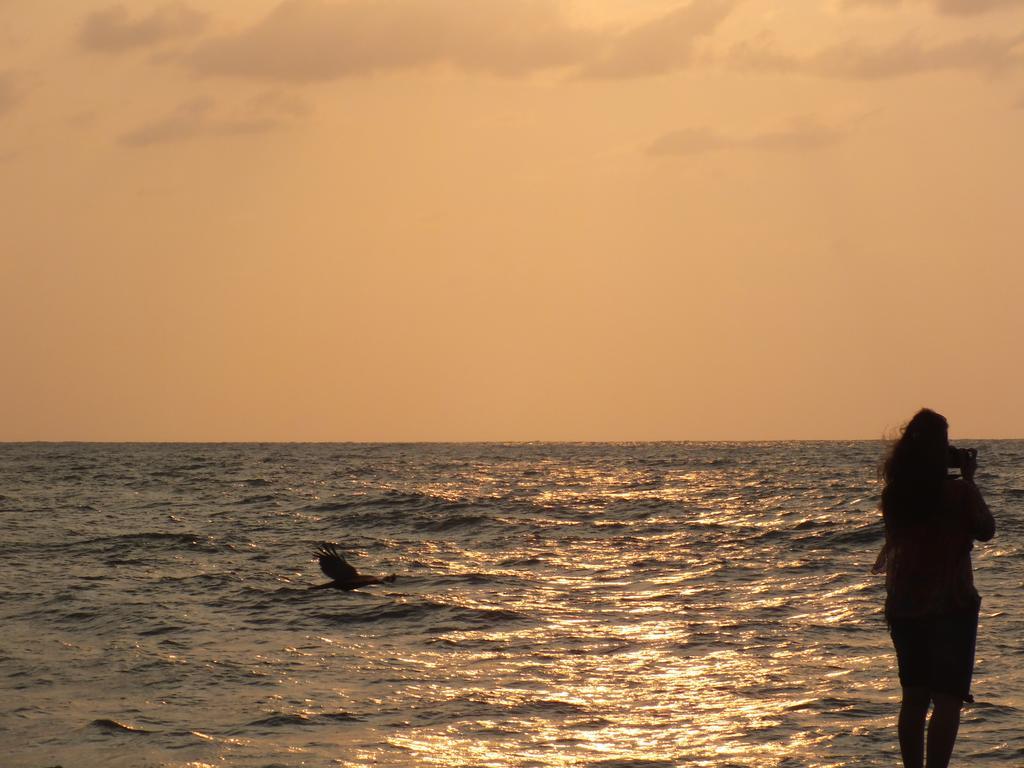 Thoms Beach Homestay Alappuzha 外观 照片